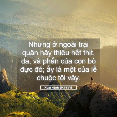 Picture 05 - Xuất Hành 29:14 VIE - Nhưng ở ngoài trại quân hãy thiêu hết - Bible Verse Picture