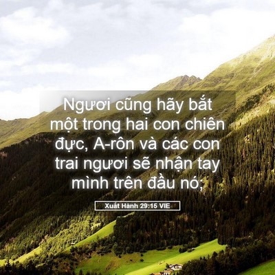 Picture 05 - Xuất Hành 29:15 VIE - Ngươi cũng hãy bắt một trong hai con - Bible Verse Picture