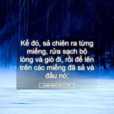 Picture 05 - Xuất Hành 29:17 VIE - Kế đó, sả chiên ra từng miếng, rửa - Bible Verse Picture