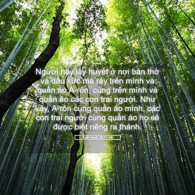 Picture 05 - Xuất Hành 29:21 VIE - Ngươi hãy lấy huyết ở nơi bàn thờ - Bible Verse Picture