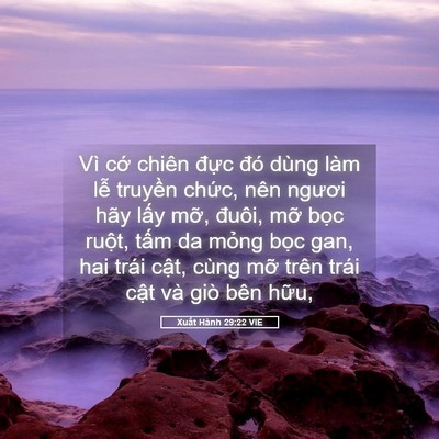 Picture 05 - Xuất Hành 29:22 VIE - Vì cớ chiên đực đó dùng làm lễ - Bible Verse Picture