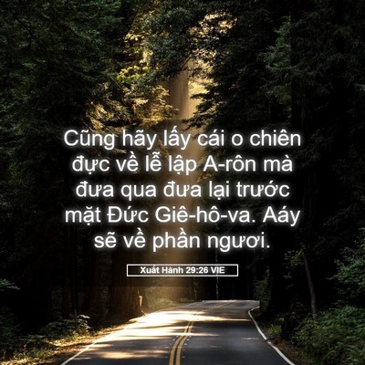 Picture 05 - Xuất Hành 29:26 VIE - Cũng hãy lấy cái o chiên đực về lễ - Bible Verse Picture