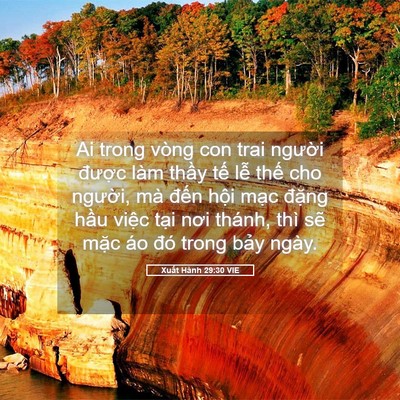 Picture 05 - Xuất Hành 29:30 VIE - Ai trong vòng con trai người được làm - Bible Verse Picture