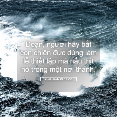 Picture 05 - Xuất Hành 29:31 VIE - Đoạn, ngươi hãy bắt con chiên đực - Bible Verse Picture