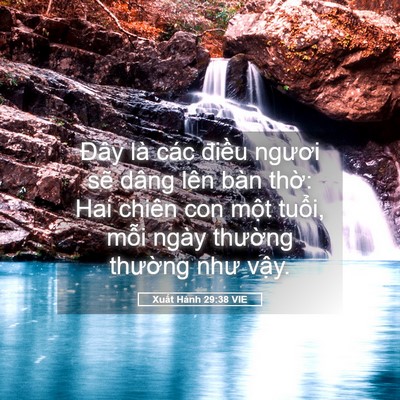 Picture 05 - Xuất Hành 29:38 VIE - Đây là các điều ngươi sẽ dâng lên - Bible Verse Picture