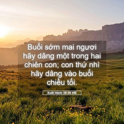 Picture 05 - Xuất Hành 29:39 VIE - Buổi sớm mai ngươi hãy dâng một trong - Bible Verse Picture