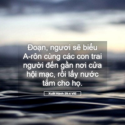 Picture 05 - Xuất Hành 29:4 VIE - Đoạn, ngươi sẽ biểu A-rôn cùng các - Bible Verse Picture