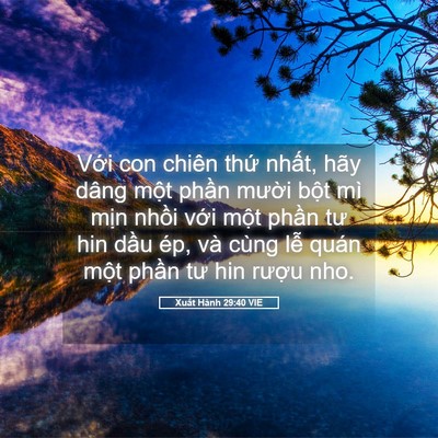 Picture 05 - Xuất Hành 29:40 VIE - Với con chiên thứ nhất, hãy dâng một - Bible Verse Picture