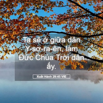 Picture 05 - Xuất Hành 29:45 VIE - Ta sẽ ở giữa dân Y-sơ-ra-ên, làm Đức - Bible Verse Picture