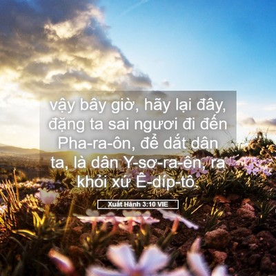 Picture 05 - Xuất Hành 3:10 VIE - vậy bây giờ, hãy lại đây, đặng ta - Bible Verse Picture