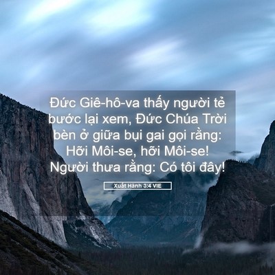 Picture 05 - Xuất Hành 3:4 VIE - Đức Giê-hô-va thấy người tẻ bước - Bible Verse Picture