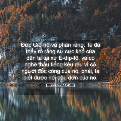 Picture 05 - Xuất Hành 3:7 VIE - Đức Giê-hô-va phán rằng: Ta đã thấy - Bible Verse Picture