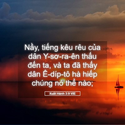 Picture 05 - Xuất Hành 3:9 VIE - Nầy, tiếng kêu rêu của dân Y-sơ-ra-ên - Bible Verse Picture