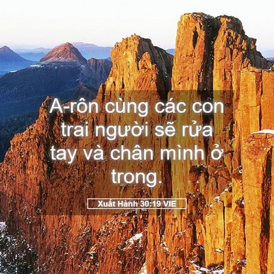 Picture 05 - Xuất Hành 30:19 VIE - A-rôn cùng các con trai người sẽ rửa - Bible Verse Picture