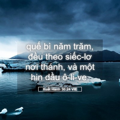 Picture 05 - Xuất Hành 30:24 VIE - quế bì năm trăm, đều theo siếc-lơ nơi - Bible Verse Picture