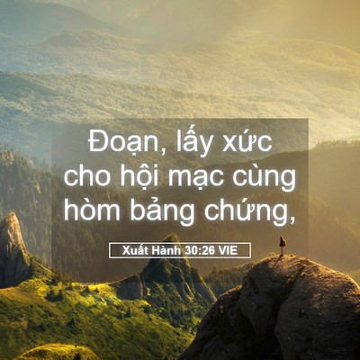 Picture 05 - Xuất Hành 30:26 VIE - Đoạn, lấy xức cho hội mạc cùng hòm - Bible Verse Picture