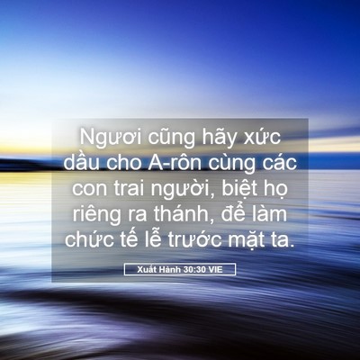 Picture 05 - Xuất Hành 30:30 VIE - Ngươi cũng hãy xức dầu cho A-rôn cùng - Bible Verse Picture