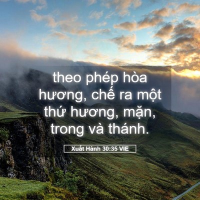 Picture 05 - Xuất Hành 30:35 VIE - theo phép hòa hương, chế ra một thứ - Bible Verse Picture