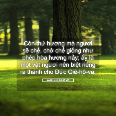 Picture 05 - Xuất Hành 30:37 VIE - Còn thứ hương mà ngươi sẽ chế, chớ - Bible Verse Picture
