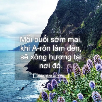 Picture 05 - Xuất Hành 30:7 VIE - Mỗi buổi sớm mai, khi A-rôn làm đèn, - Bible Verse Picture