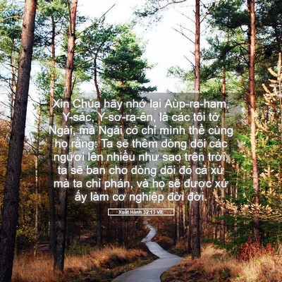 Picture 05 - Xuất Hành 32:13 VIE - Xin Chúa hãy nhớ lại Aùp-ra-ham, Y-sác, - Bible Verse Picture