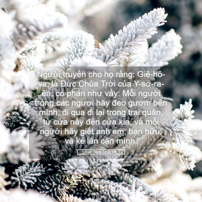 Picture 05 - Xuất Hành 32:27 VIE - Người truyền cho họ rằng: Giê-hô-va, - Bible Verse Picture