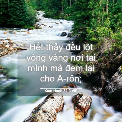 Picture 05 - Xuất Hành 32:3 VIE - Hết thảy đều lột vòng vàng nơi tai - Bible Verse Picture