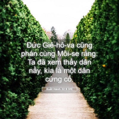 Picture 05 - Xuất Hành 32:9 VIE - Đức Giê-hô-va cũng phán cùng Môi-se - Bible Verse Picture