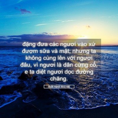 Picture 05 - Xuất Hành 33:3 VIE - đặng đưa các ngươi vào xứ đượm - Bible Verse Picture