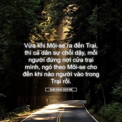 Picture 05 - Xuất Hành 33:8 VIE - Vừa khi Môi-se ra đến Trại, thì cả - Bible Verse Picture