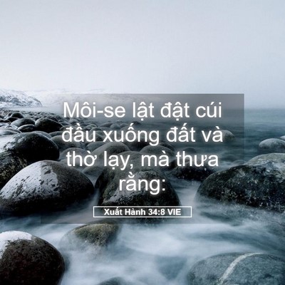 Picture 05 - Xuất Hành 34:8 VIE - Môi-se lật đật cúi đầu xuống đất - Bible Verse Picture