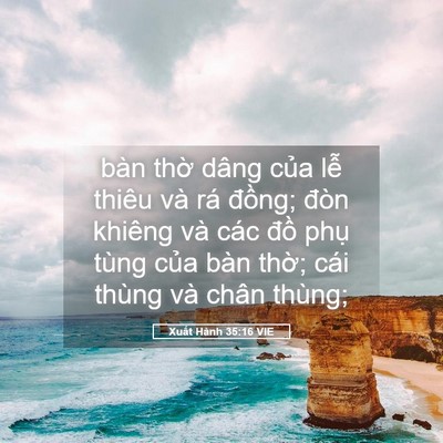Picture 05 - Xuất Hành 35:16 VIE - bàn thờ dâng của lễ thiêu và rá - Bible Verse Picture