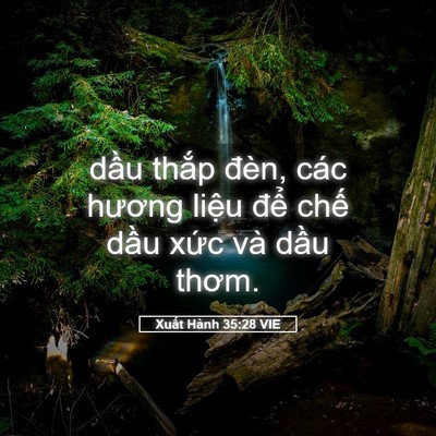 Picture 05 - Xuất Hành 35:28 VIE - dầu thắp đèn, các hương liệu để - Bible Verse Picture