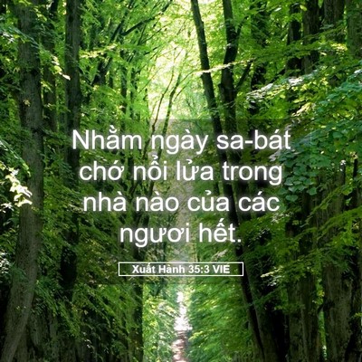 Picture 05 - Xuất Hành 35:3 VIE - Nhằm ngày sa-bát chớ nổi lửa trong nhà - Bible Verse Picture