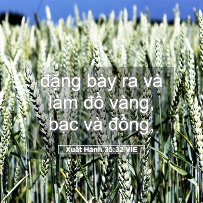 Picture 05 - Xuất Hành 35:32 VIE - đặng bày ra và làm đồ vàng, bạc và - Bible Verse Picture