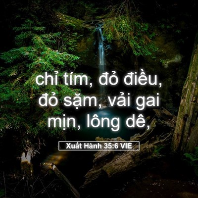 Picture 05 - Xuất Hành 35:6 VIE - chỉ tím, đỏ điều, đỏ sặm, vải gai - Bible Verse Picture