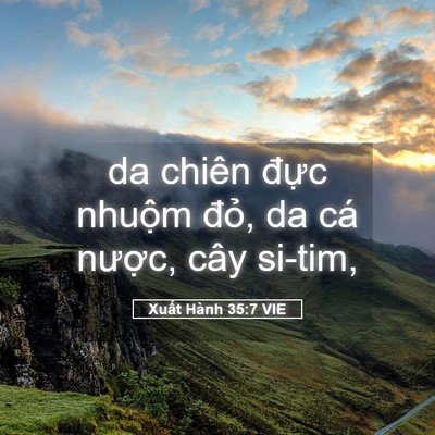 Picture 05 - Xuất Hành 35:7 VIE - da chiên đực nhuộm đỏ, da cá nược, - Bible Verse Picture