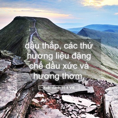 Picture 05 - Xuất Hành 35:8 VIE - dầu thắp, các thứ hương liệu đặng - Bible Verse Picture
