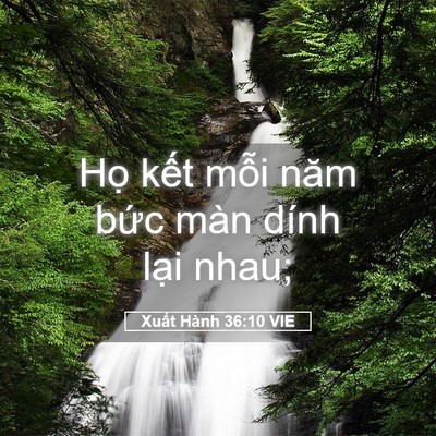 Picture 05 - Xuất Hành 36:10 VIE - Họ kết mỗi năm bức màn dính lại - Bible Verse Picture