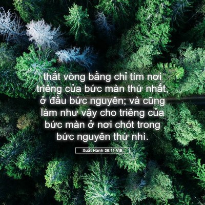 Picture 05 - Xuất Hành 36:11 VIE - thắt vòng bằng chỉ tím nơi triêng của - Bible Verse Picture
