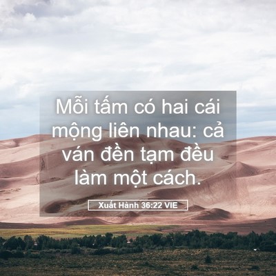 Picture 05 - Xuất Hành 36:22 VIE - Mỗi tấm có hai cái mộng liên nhau: cả - Bible Verse Picture