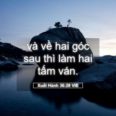 Picture 05 - Xuất Hành 36:28 VIE - và về hai góc sau thì làm hai tấm - Bible Verse Picture