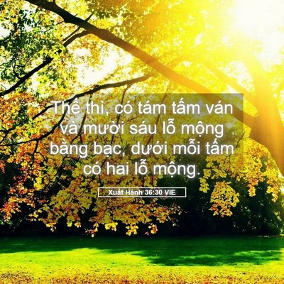 Picture 05 - Xuất Hành 36:30 VIE - Thế thì, có tám tấm ván và mười sáu - Bible Verse Picture