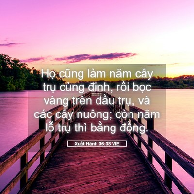 Picture 05 - Xuất Hành 36:38 VIE - Họ cũng làm năm cây trụ cùng đinh, - Bible Verse Picture