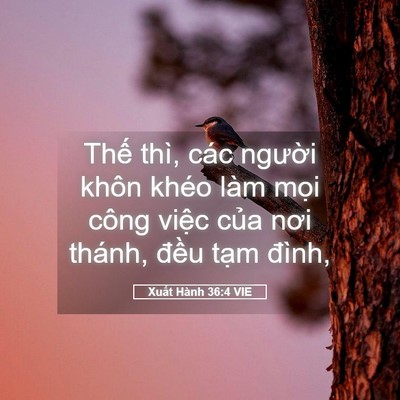 Picture 05 - Xuất Hành 36:4 VIE - Thế thì, các người khôn khéo làm mọi - Bible Verse Picture