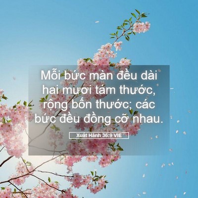 Picture 05 - Xuất Hành 36:9 VIE - Mỗi bức màn đều dài hai mươi tám - Bible Verse Picture