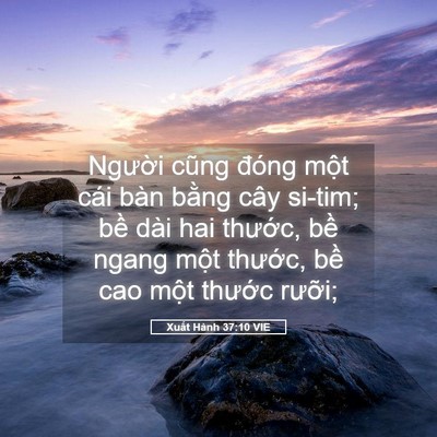 Picture 05 - Xuất Hành 37:10 VIE - Người cũng đóng một cái bàn bằng cây - Bible Verse Picture