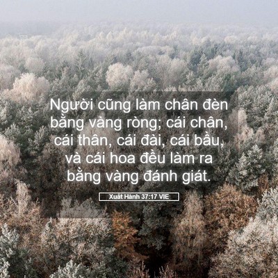 Picture 05 - Xuất Hành 37:17 VIE - Người cũng làm chân đèn bằng vàng - Bible Verse Picture