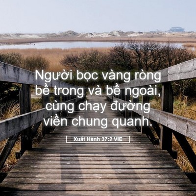 Picture 05 - Xuất Hành 37:2 VIE - Người bọc vàng ròng bề trong và bề - Bible Verse Picture