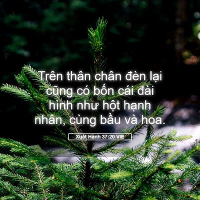 Picture 05 - Xuất Hành 37:20 VIE - Trên thân chân đèn lại cũng có bốn - Bible Verse Picture